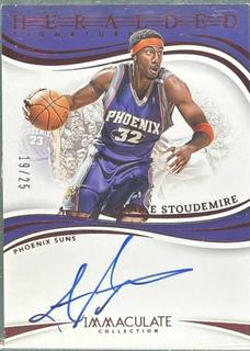 Amar'e Stoudemire