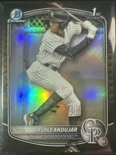 Ashly Andujar