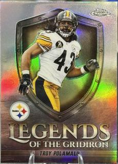 Troy Polamalu