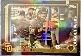 Fernando Tatis Jr.