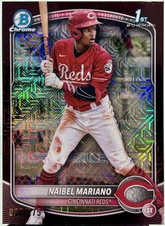 Naibel Mariano