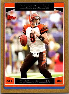 Carson Palmer
