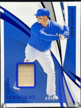 Anthony Rizzo [Blue] #69
