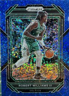 Robert Williams III