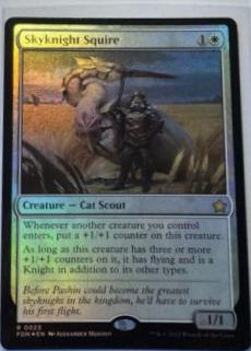 Skyknight Squire