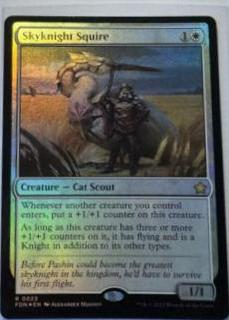 Skyknight Squire