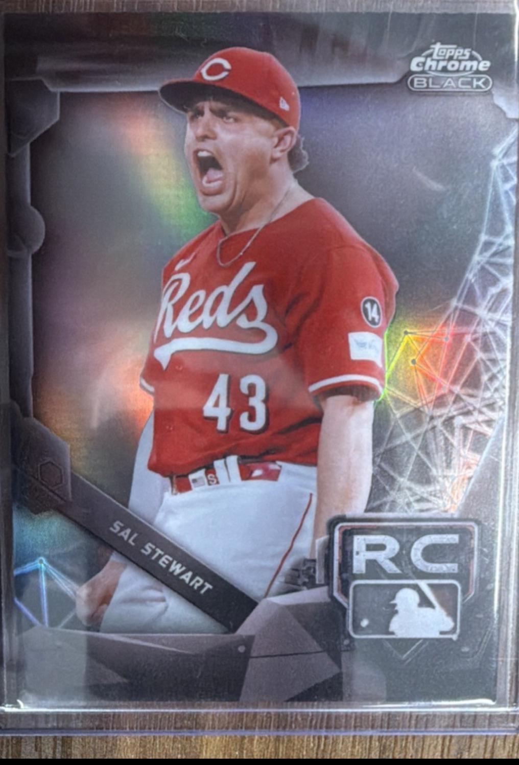 Sal Stewart [Design Variation] #30