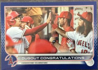 Ohtani / Marsh