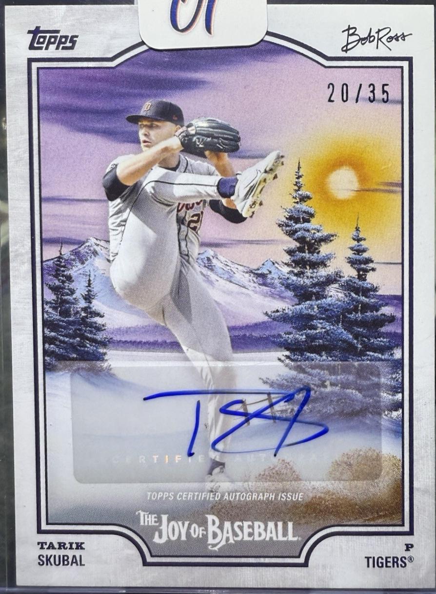 超選抜【選抜オークション】③子株付き　太棘　アガべ　白豪刺　TC ♯47 超選抜【選抜オークション】③子株付き 太棘 アガべ 白豪刺 TC ♯47