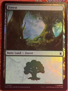 Forest