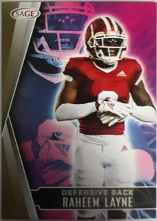 Raheem Layne