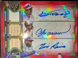 Andre Dawson / Vladimir Guerrero / Tim Raines
