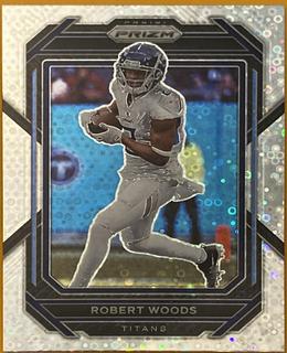 Robert Woods