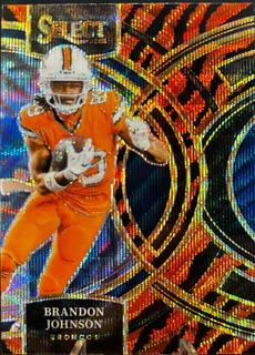 Brandon Johnson