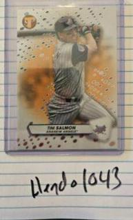 Tim Salmon