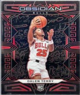 Dalen Terry