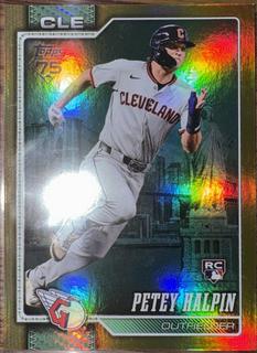 Petey Halpin