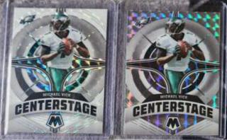 Michael Vick