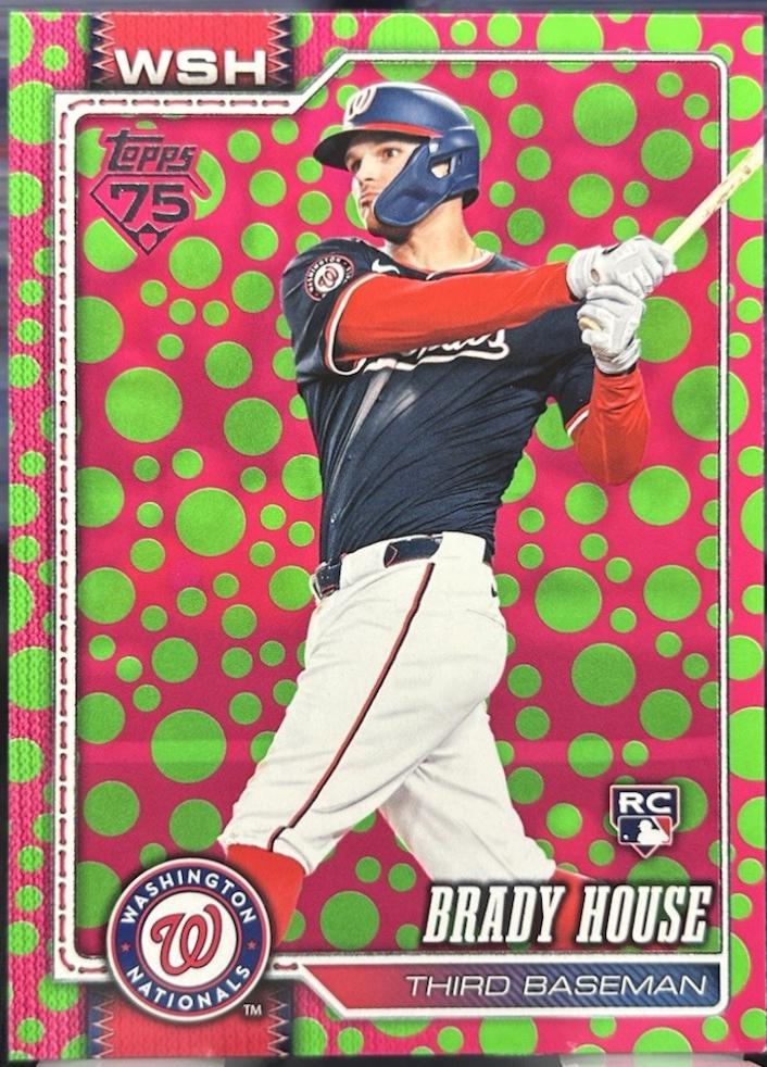 Brady House [Holiday Dots Green Pink] #170