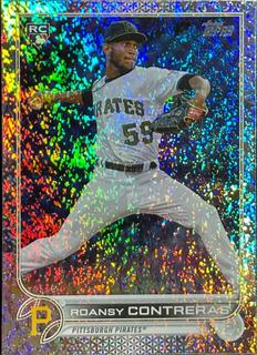 Roansy Contreras