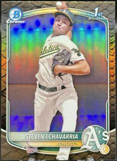 Steven Echavarria