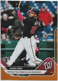 James Wood