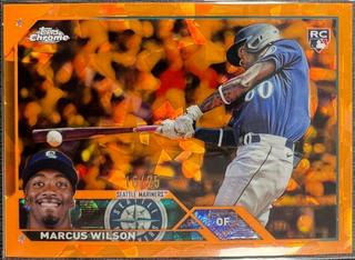 Marcus Wilson