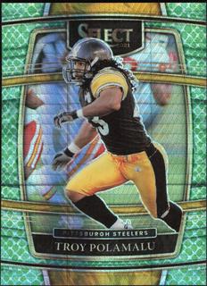 Troy Polamalu