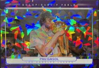 Pau Gasol
