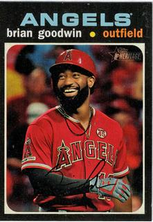 Brian Goodwin