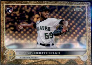 Roansy Contreras