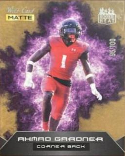 Ahmad Gardner