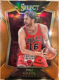 Pau Gasol