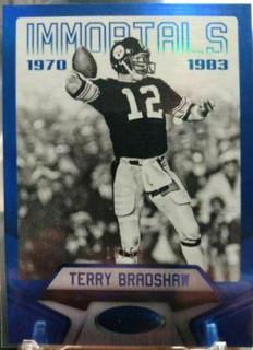 Terry Bradshaw