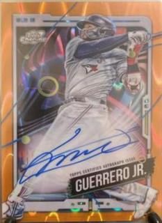 Vladimir Guerrero Jr.