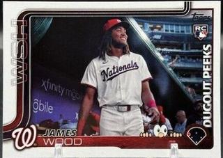 James Wood