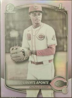 Liberts Aponte