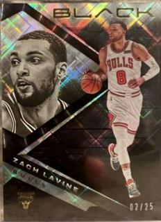 Zach LaVine