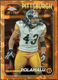 Troy Polamalu