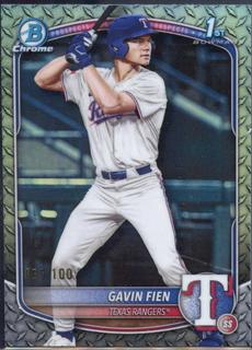Gavin Fien