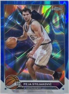 Peja Stojakovic