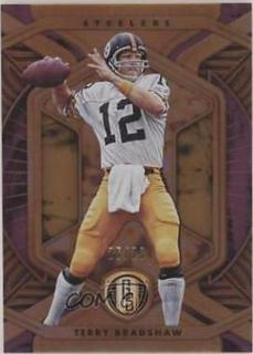 Terry Bradshaw