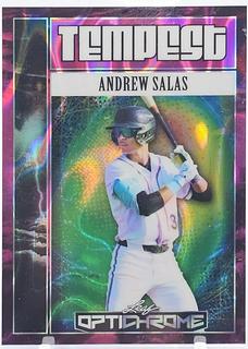 Andrew Salas