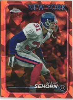 Jason Sehorn