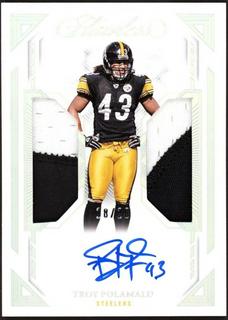 Troy Polamalu