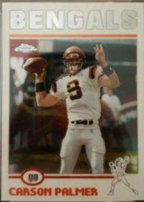 Carson Palmer