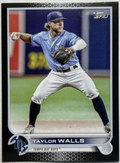 Taylor Walls