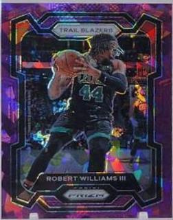 Robert Williams III