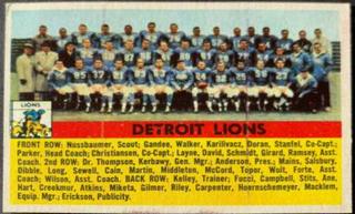 Detroit Lions