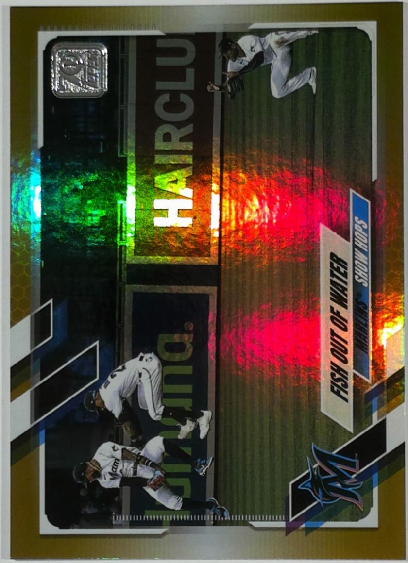 Fish out of Water [Gold Foil] #530
